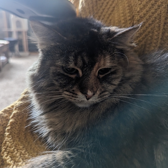 Meet your Posher, Sk - Picture 1 of 1